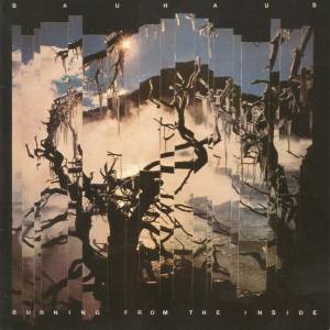 Bauhaus - Burning From The Inside