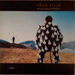 Pink Floyd - Delicate Sound Of Thunder